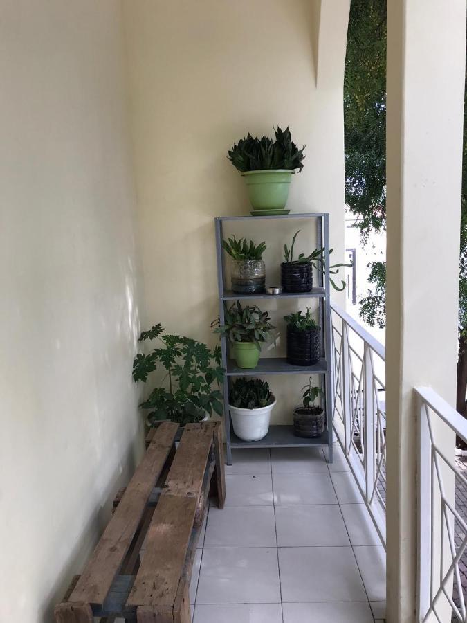 Praiadise Hostel Vila Nova Dış mekan fotoğraf
